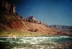 035_Lois_ChuarRapid