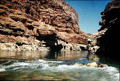 015_LesRaft_Tanner
