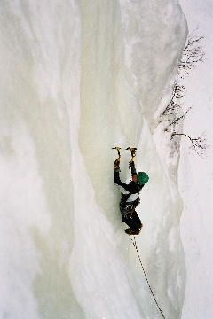 Image007_8