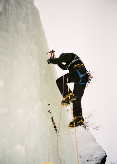 Image009_10