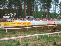 Venla
