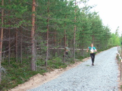 Venla