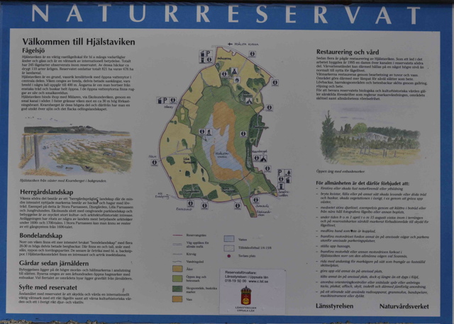 Hj&auml;lstaviken Nature Reserve (2033c)