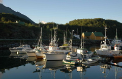 skutvik_boats