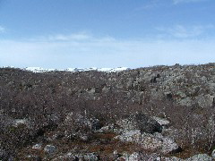 P5250027