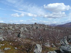 P5250028