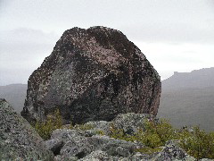 P8270603