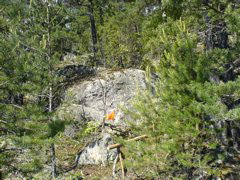 DSC00609