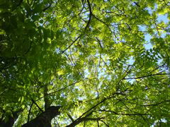 DSC00625