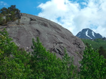 DSCF5977