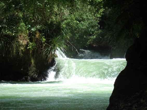DSCF0876