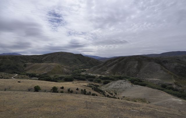 _DSC6159c