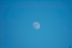 moon_rautas_mars07_4898