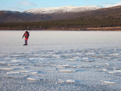 PiaJ_Laukkujarvi_0466