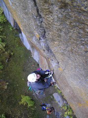 H&aring;kan on Crack-a-go-go