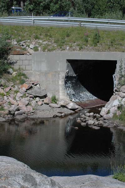 Efjord_juni-juli07 (26)