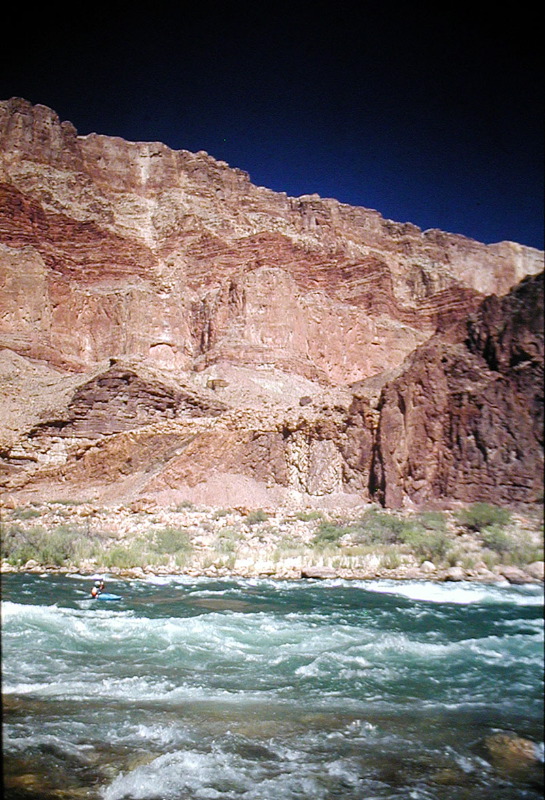 092_Andrea_ChuarRapid