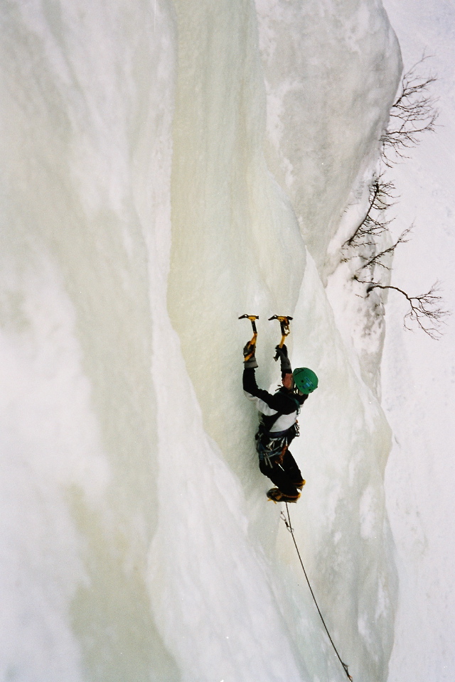 Image007_8