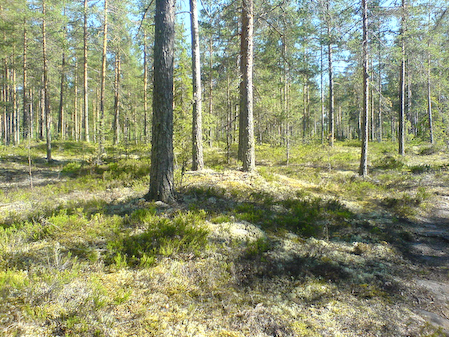 DSC01195
