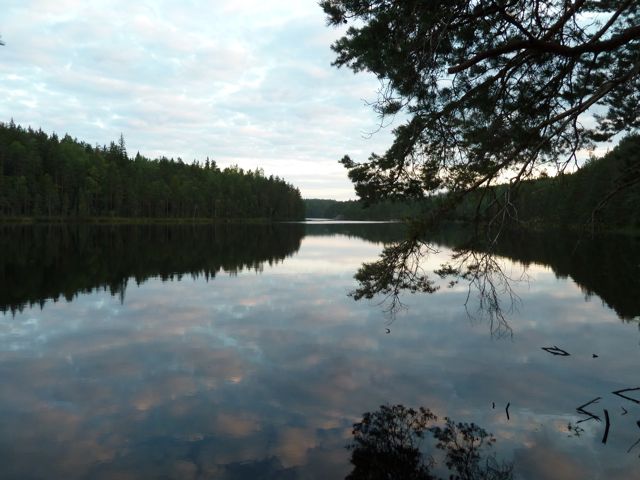 P1000389