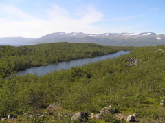 Langsjon_fr_Strandblocket