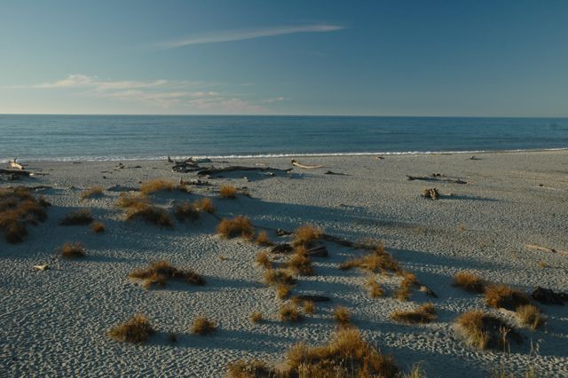 DSC_7508