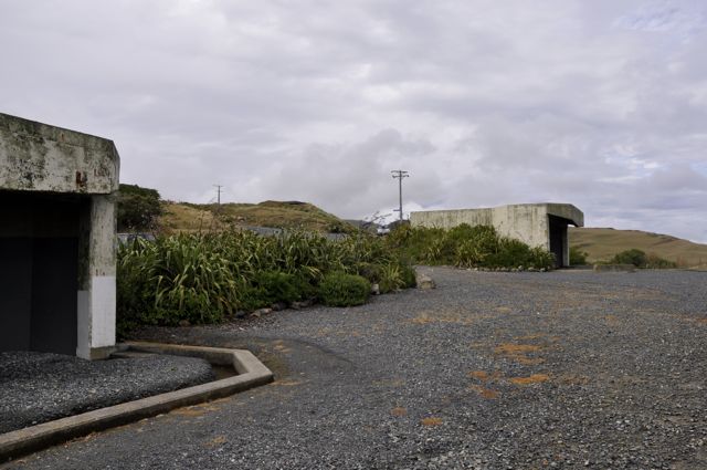 _DSC6336cw