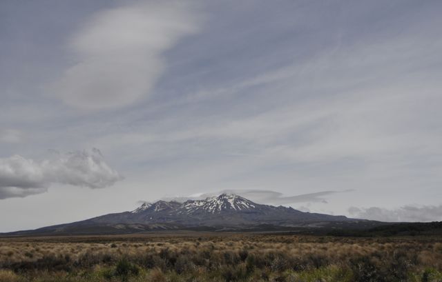 _DSC6411c