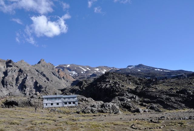 Whakapapa_jan11_RMcG_0293c