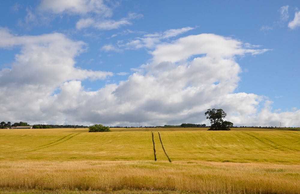 UdaleBay_Cromarty_150803_RMcG_RGD0952c