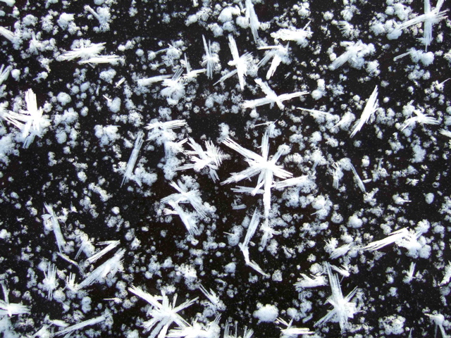 Ice_art_Sautusjarvi_081030_0329
