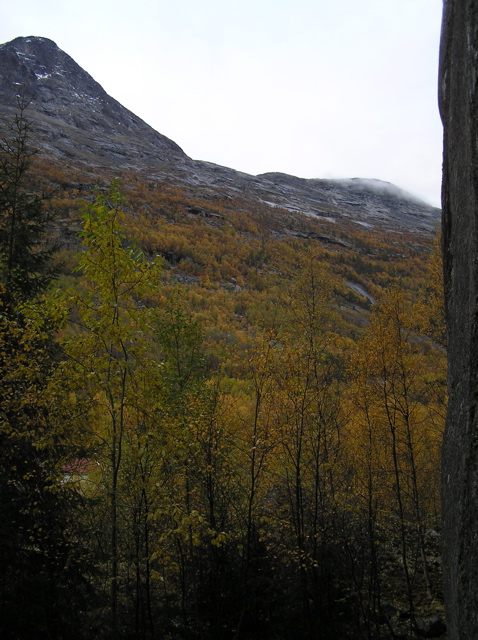View from Stiberg