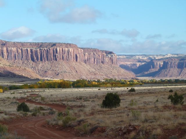 P1010406