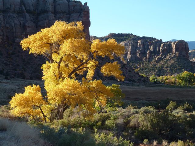 P1010486