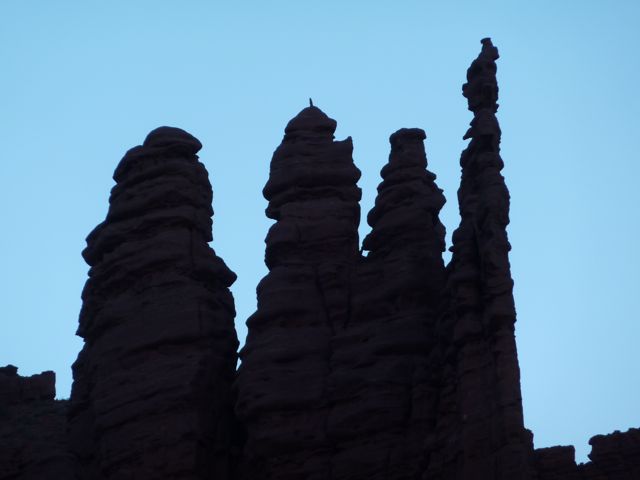 P1010219