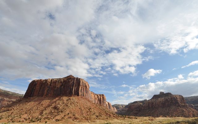 _DSC9337c