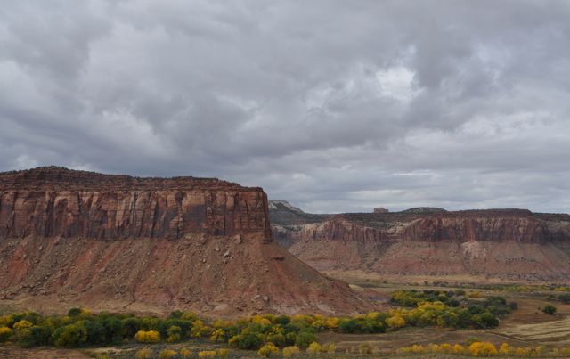 _DSC9344c