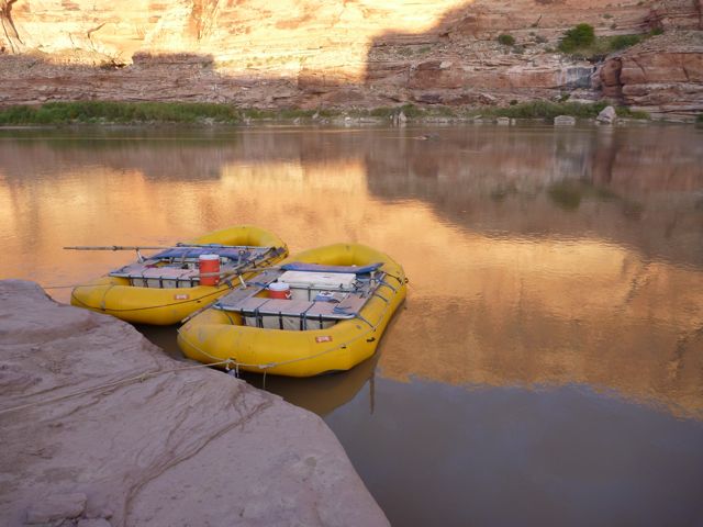 P1000104