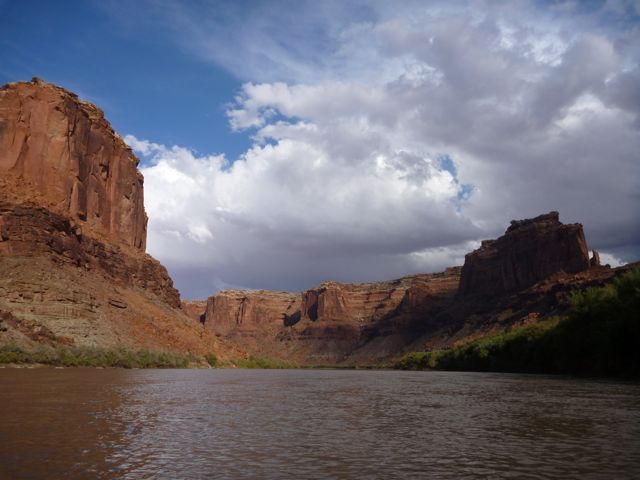 P1000155