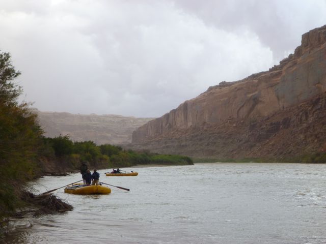 P1000156