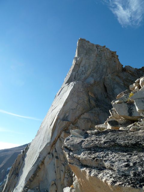 P1010014